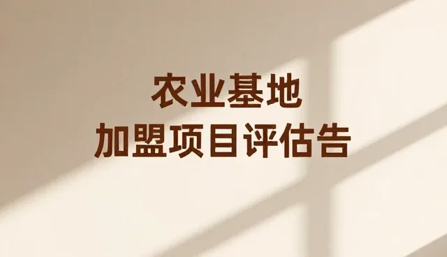 零售门店选址:关键因素与实际操作指南