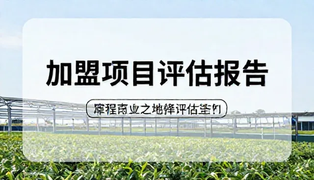 餐饮项目选择:评估与取舍的现实对比