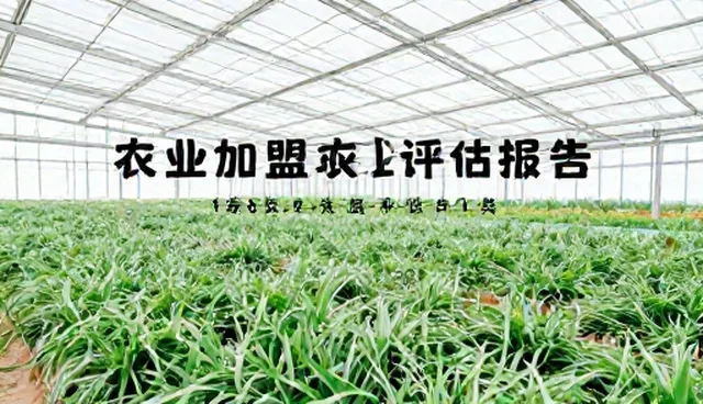 北京企业网站设计公司常见误区分析
