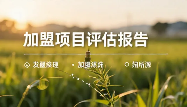 营销网站设计公司如何应对项目排行挑战